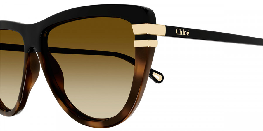 Color: Black (003) - Chloé CH0203S00359