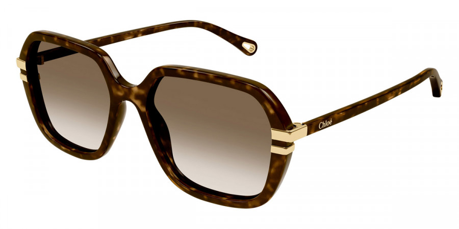 Color: Havana (002) - Chloé CH0204S00257