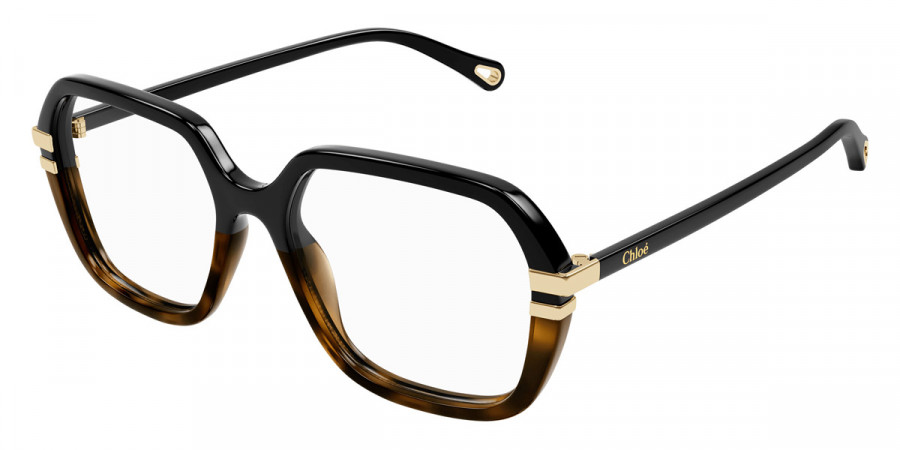 Color: Black (003) - Chloé CH0205O00353