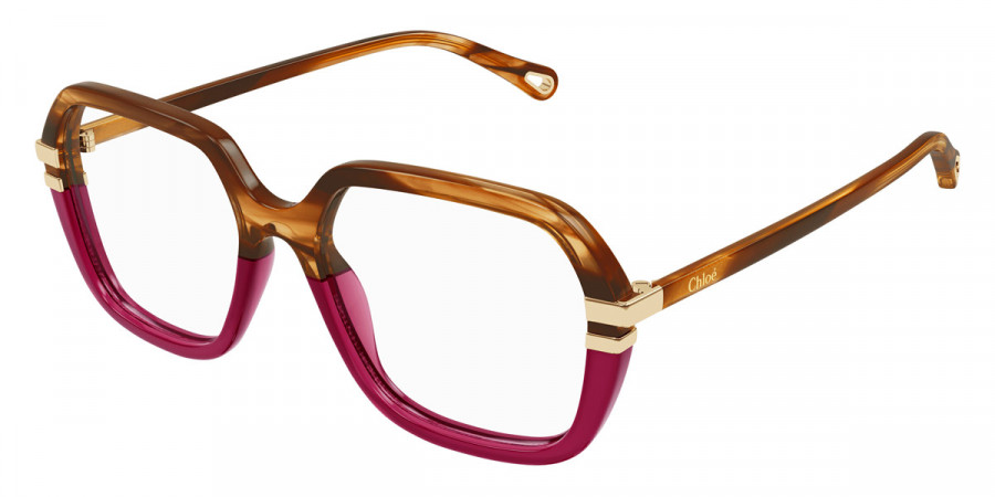 Color: Havana (004) - Chloé CH0205O00453