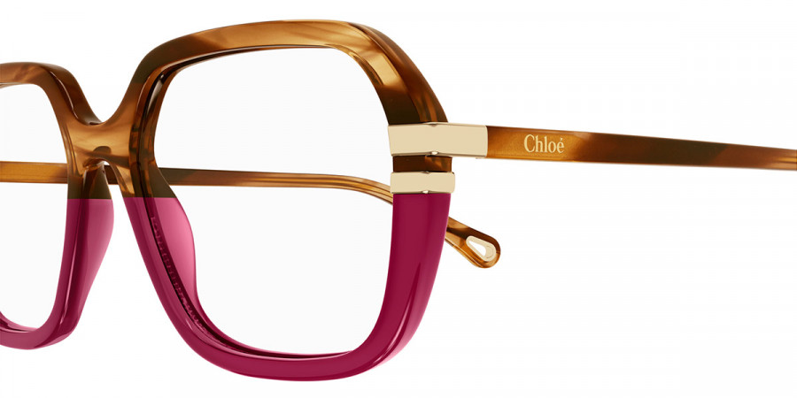 Color: Havana (004) - Chloé CH0205O00453