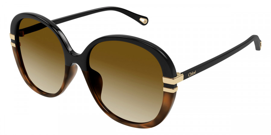 Color: Black (003) - Chloé CH0207SK00358