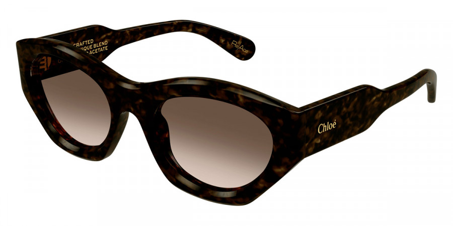 Color: Havana (002) - Chloé CH0220S00253