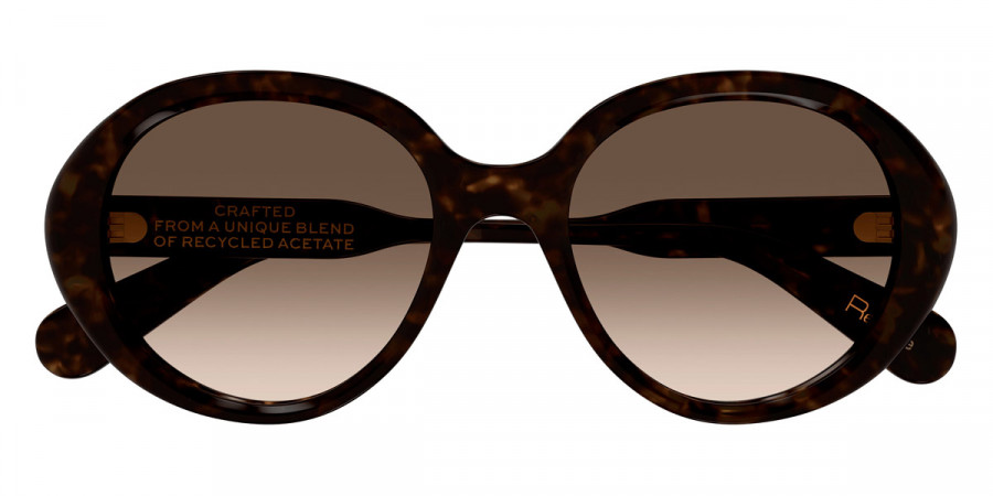 Chloé™ CH0221S 002 55 - Havana