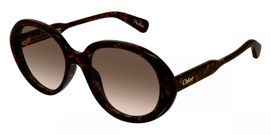 Color: Havana (002) - Chloé CH0221S00255