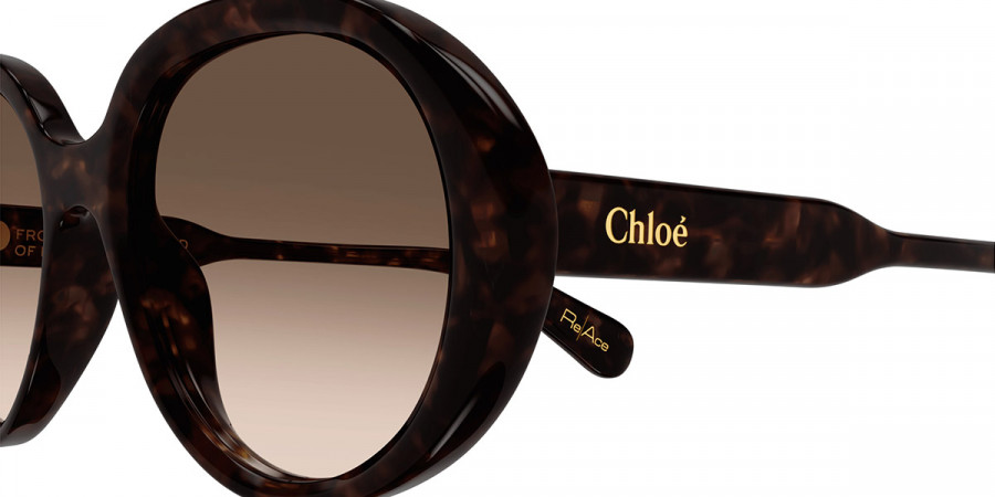 Color: Havana (002) - Chloé CH0221S00255