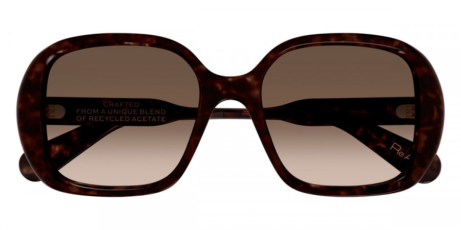 Chloé™ CH0222S 002 55 - Havana