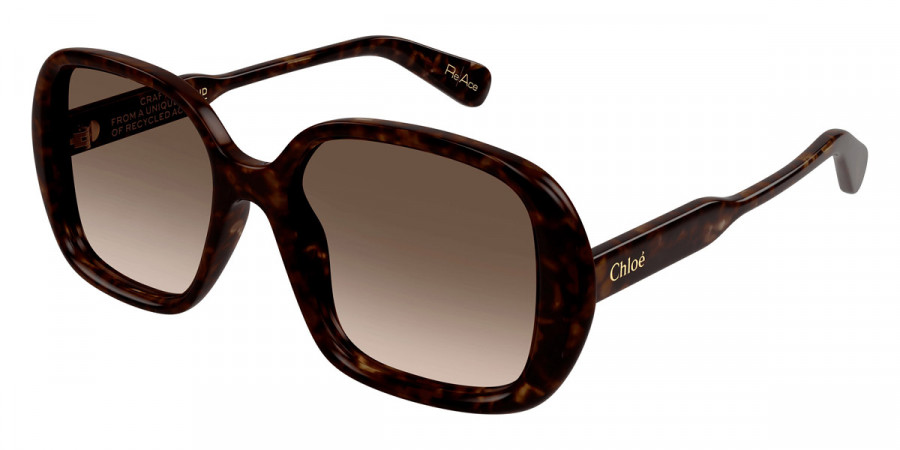 Color: Havana (002) - Chloé CH0222S00255