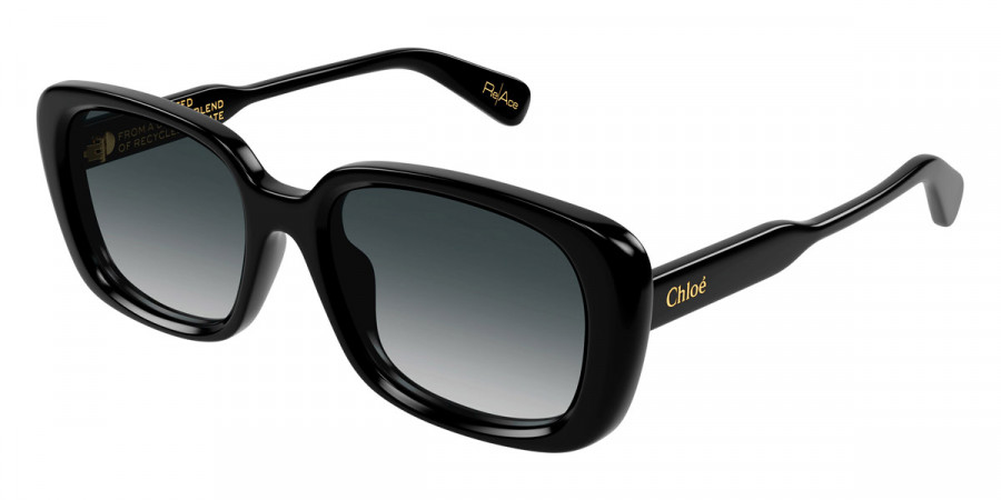 Color: Black (001) - Chloé CH0225SK00155