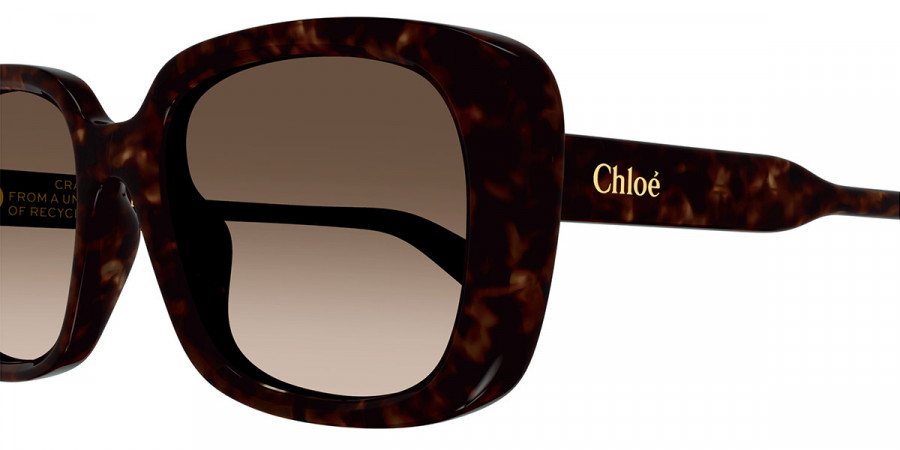 Color: Havana (002) - Chloé CH0225SK00255