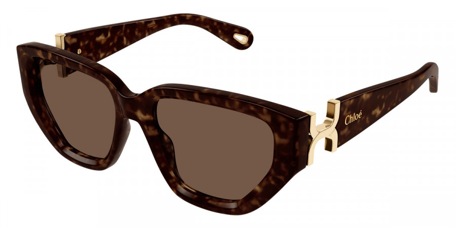 Color: Havana (002) - Chloé CH0235S00255