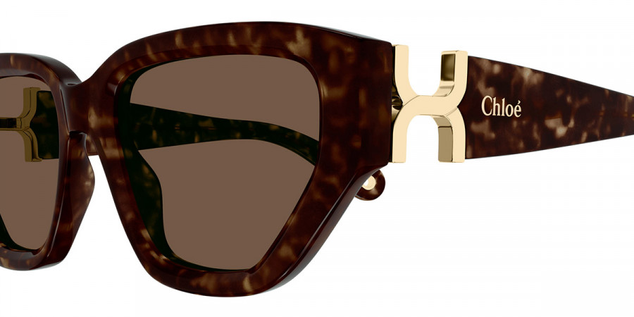 Color: Havana (002) - Chloé CH0235S00255