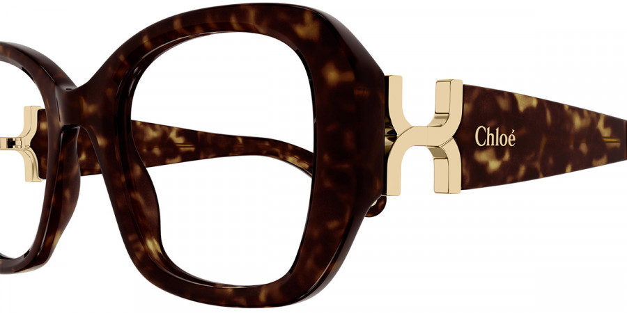 Color: Havana (002) - Chloé CH0239O00251