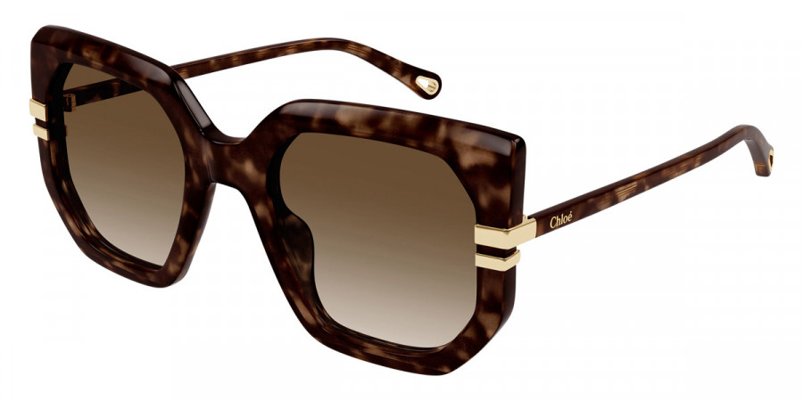 Color: Havana (002) - Chloé CH0240S00253