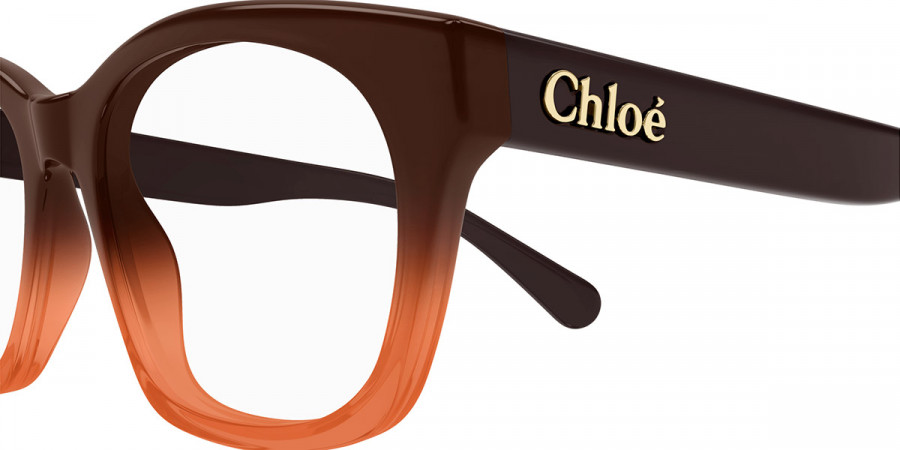 Color: Brown (004) - Chloé CH0244O00450