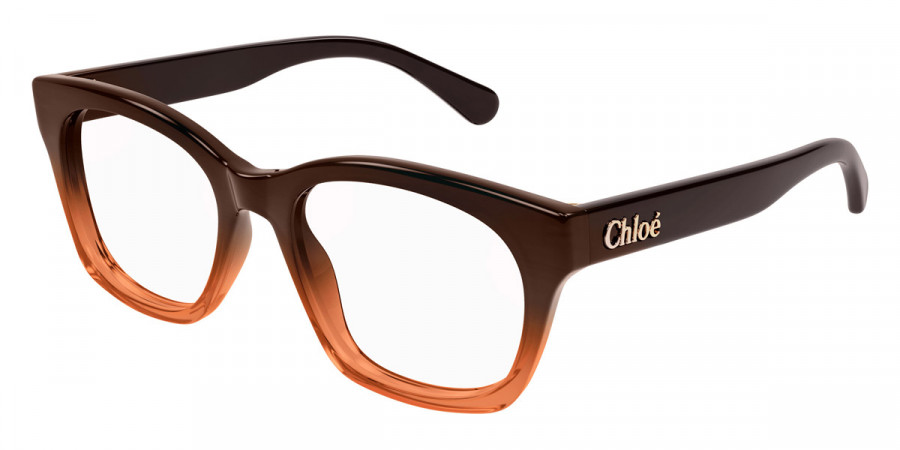 Color: Brown (008) - Chloé CH0244O00852