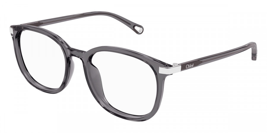 Color: Gray (004) - Chloé CH0247OA00454