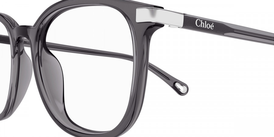 Color: Gray (004) - Chloé CH0247OA00454