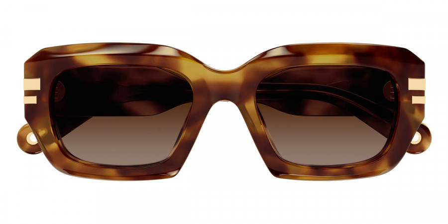 Chloé™ CH0256S 002 53 - Havana