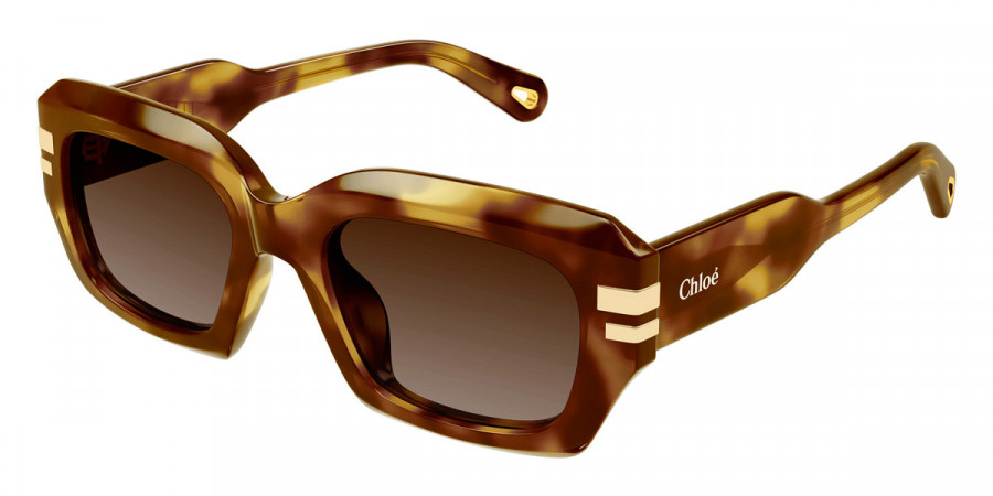 Color: Havana (002) - Chloé CH0256S00253