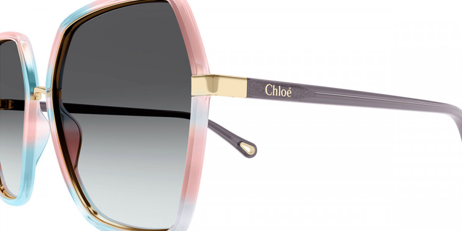 Color: Havana/Gray (001) - Chloé CH0262S00158