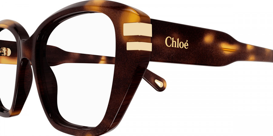 Color: Havana (002) - Chloé CH0267O00251