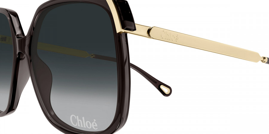 Color: Gray/Gold (001) - Chloé CH0286S00160