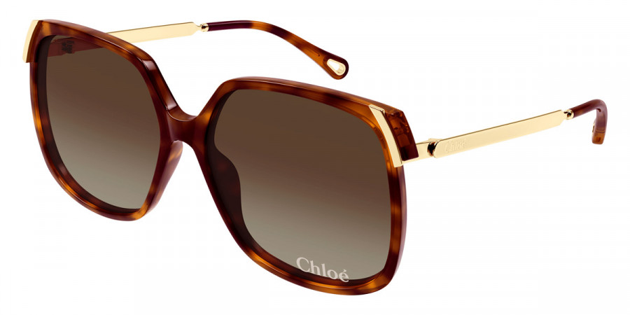 Color: Havana/Gold (002) - Chloé CH0286S00260