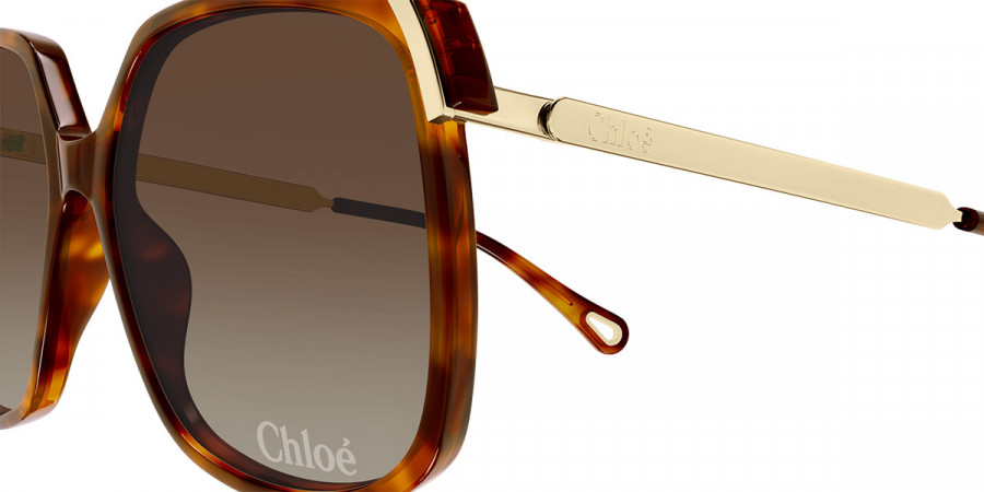 Color: Havana/Gold (002) - Chloé CH0286S00260