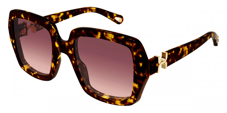 Color: Havana (002) - Chloé CH0301S00252