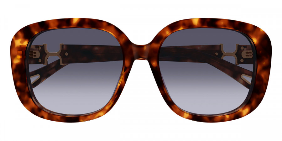 Chloé™ CH0303SK 002 56 - Havana