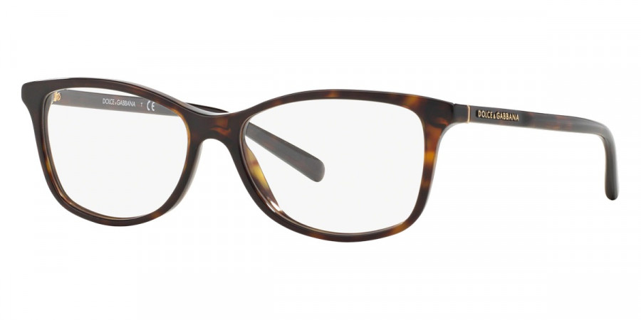 Color: Havana (502) - Dolce & Gabbana DG322250252