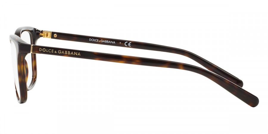 Color: Havana (502) - Dolce & Gabbana DG322250252