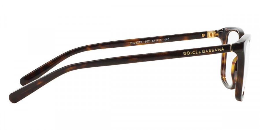 Color: Havana (502) - Dolce & Gabbana DG322250252