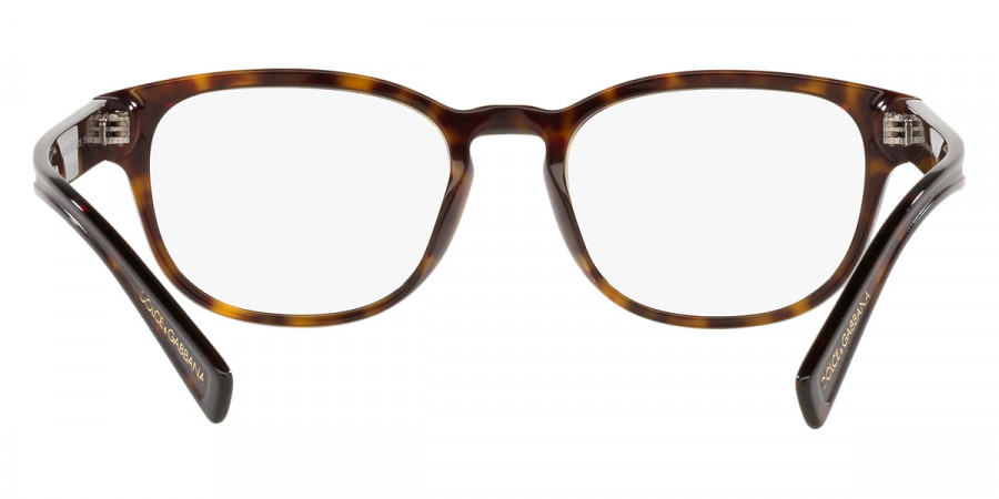 Color: Havana (502) - Dolce & Gabbana DG334050253