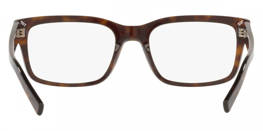 Color: Havana (502) - Dolce & Gabbana DG335250255