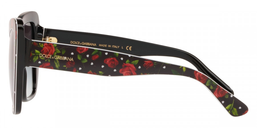 Dolce & Gabbana™ - Print Family DG4348F