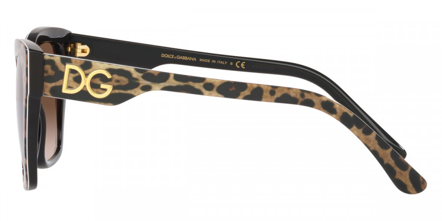 Color: Leopard Brown on Black (316313) - Dolce & Gabbana DG438431631353