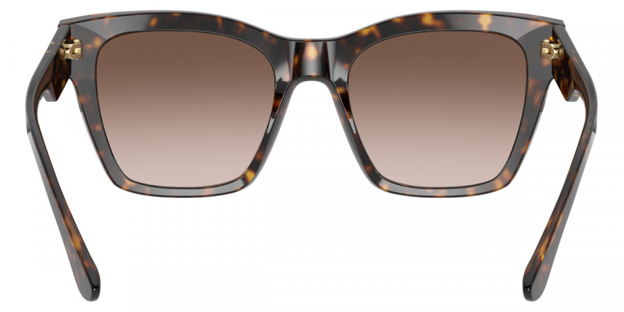 Dolce & Gabbana™ - Print Family DG4384F