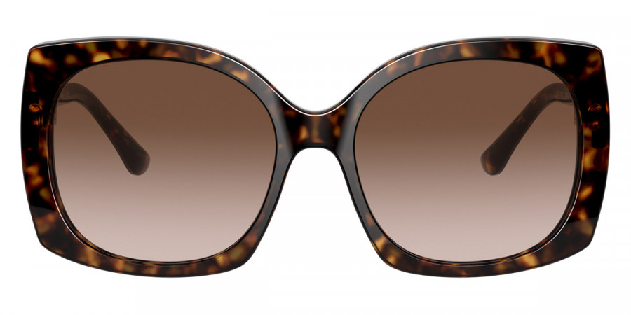 Dolce & Gabbana™ Print Family DG4385 502/13 58 - Havana