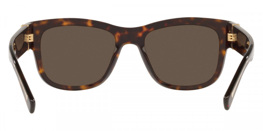 Color: Havana (502/73) - Dolce & Gabbana DG4390502/7354