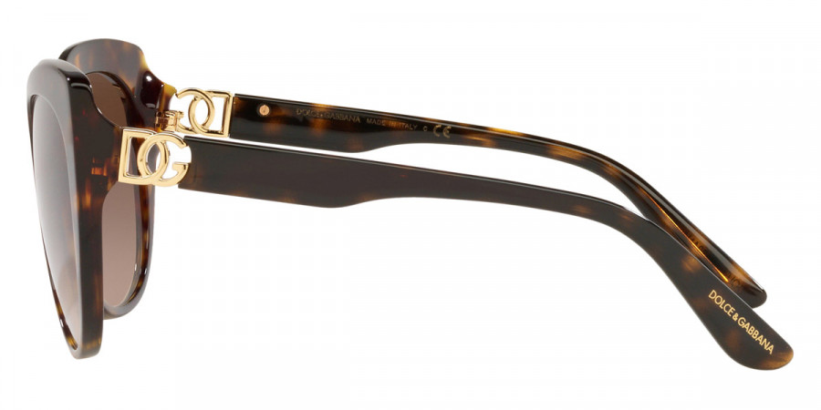 Color: Havana (502/13) - Dolce & Gabbana DG4392F502/1356