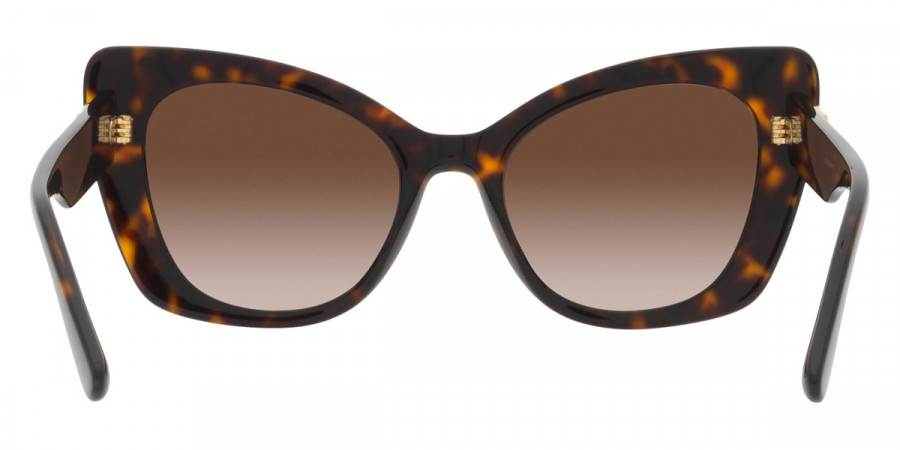 Color: Havana (502/13) - Dolce & Gabbana DG4405502/1353