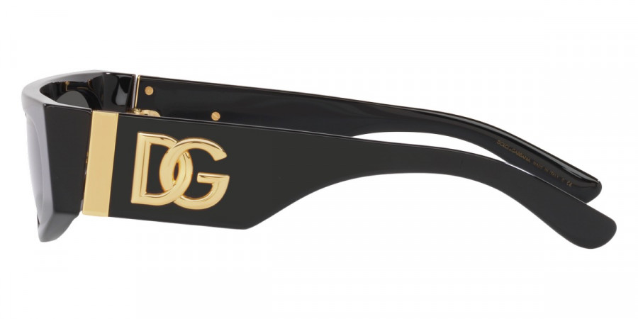 Color: Black (501/87) - Dolce & Gabbana DG4411501/8754