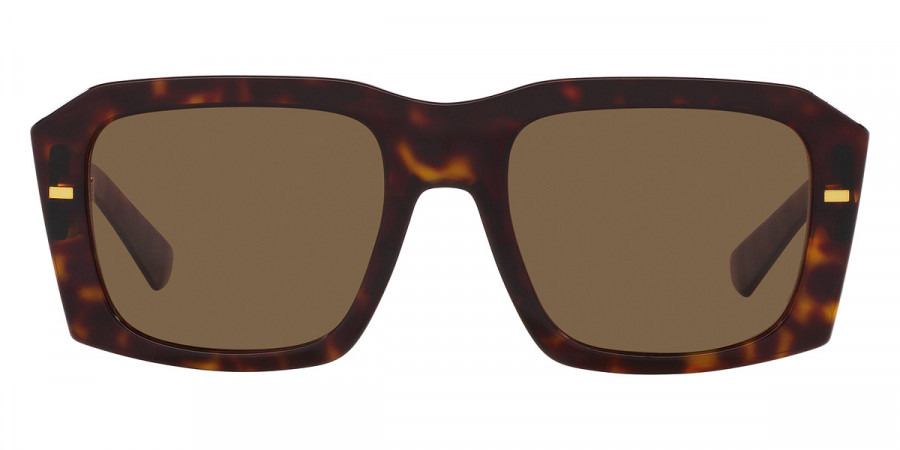 Dolce & Gabbana™ DG4430F 502/73 54 - Havana