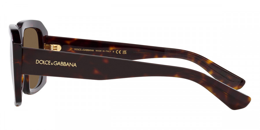 Color: Havana (502/73) - Dolce & Gabbana DG4430F502/7354