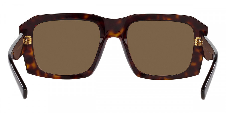 Color: Havana (502/73) - Dolce & Gabbana DG4430F502/7354