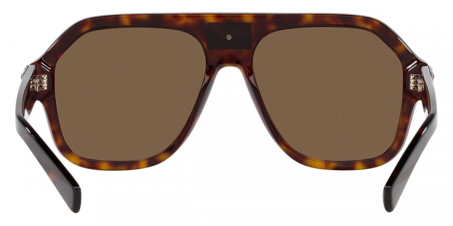 Color: Havana (502/73) - Dolce & Gabbana DG4433F502/7358