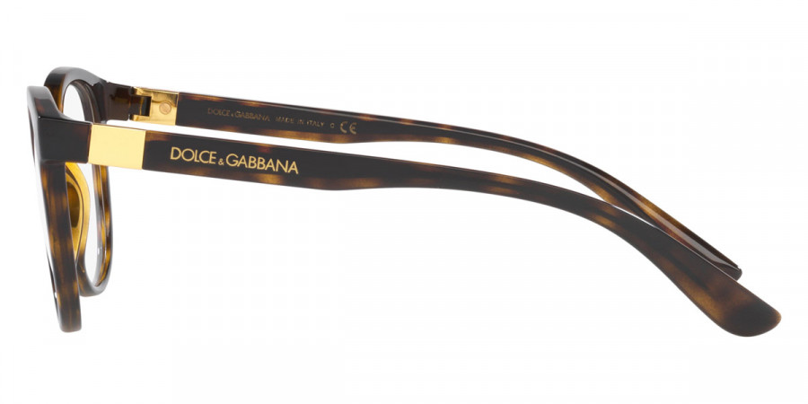 Color: Havana (502) - Dolce & Gabbana DG508350249