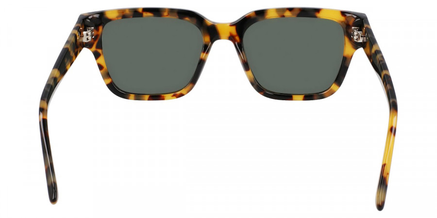 Color: Shiny Tokyo Tortoise (242) - Dragon DRROWANLLPOLAR24254